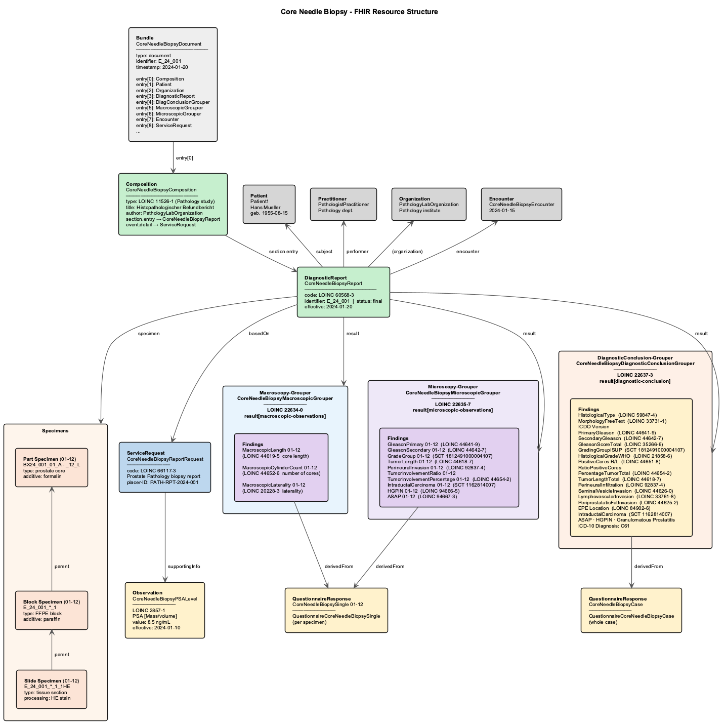 CoreNeedleBiopsy_Structure.png
