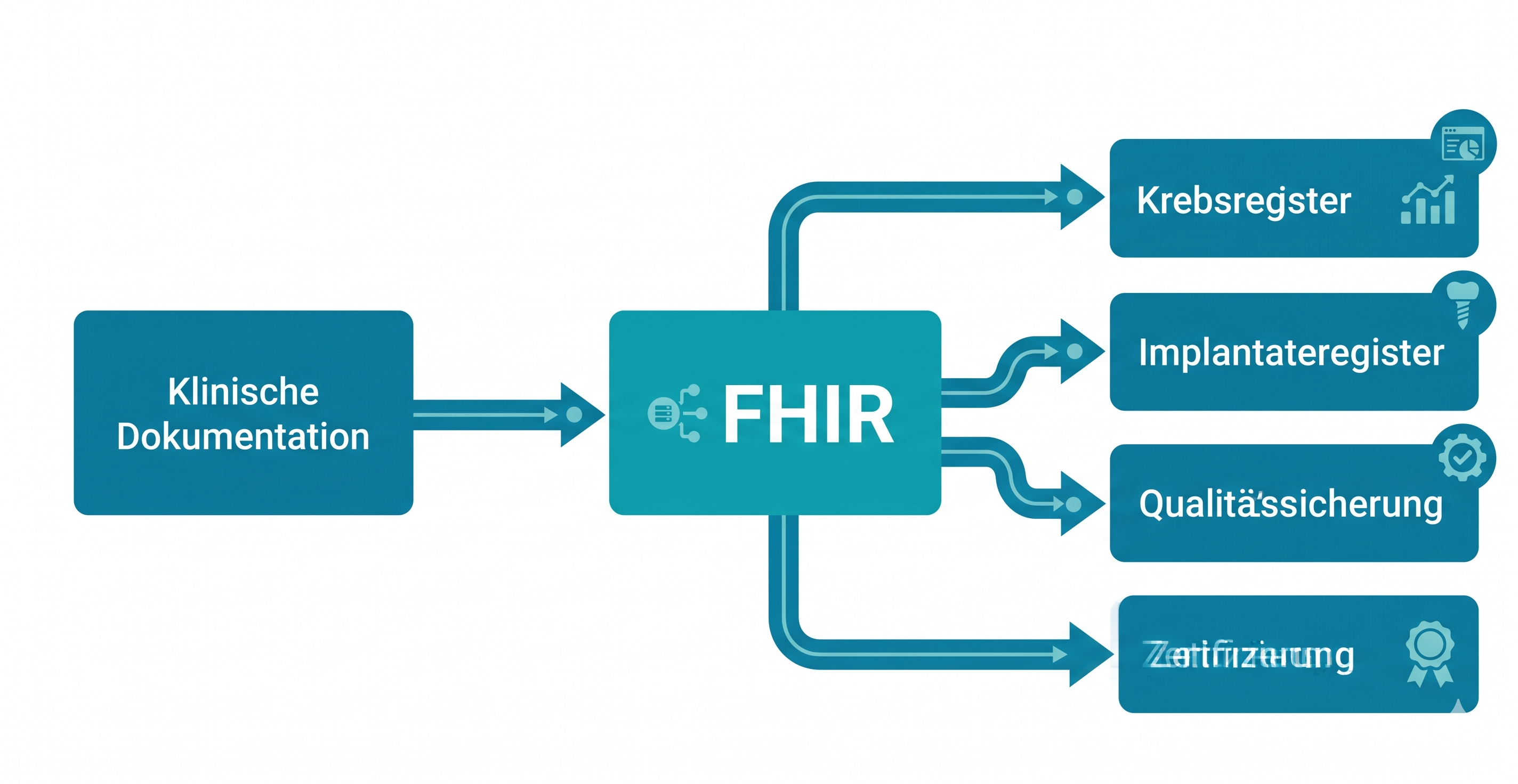 Klinische Dokumentation → FHIR → Meldewege