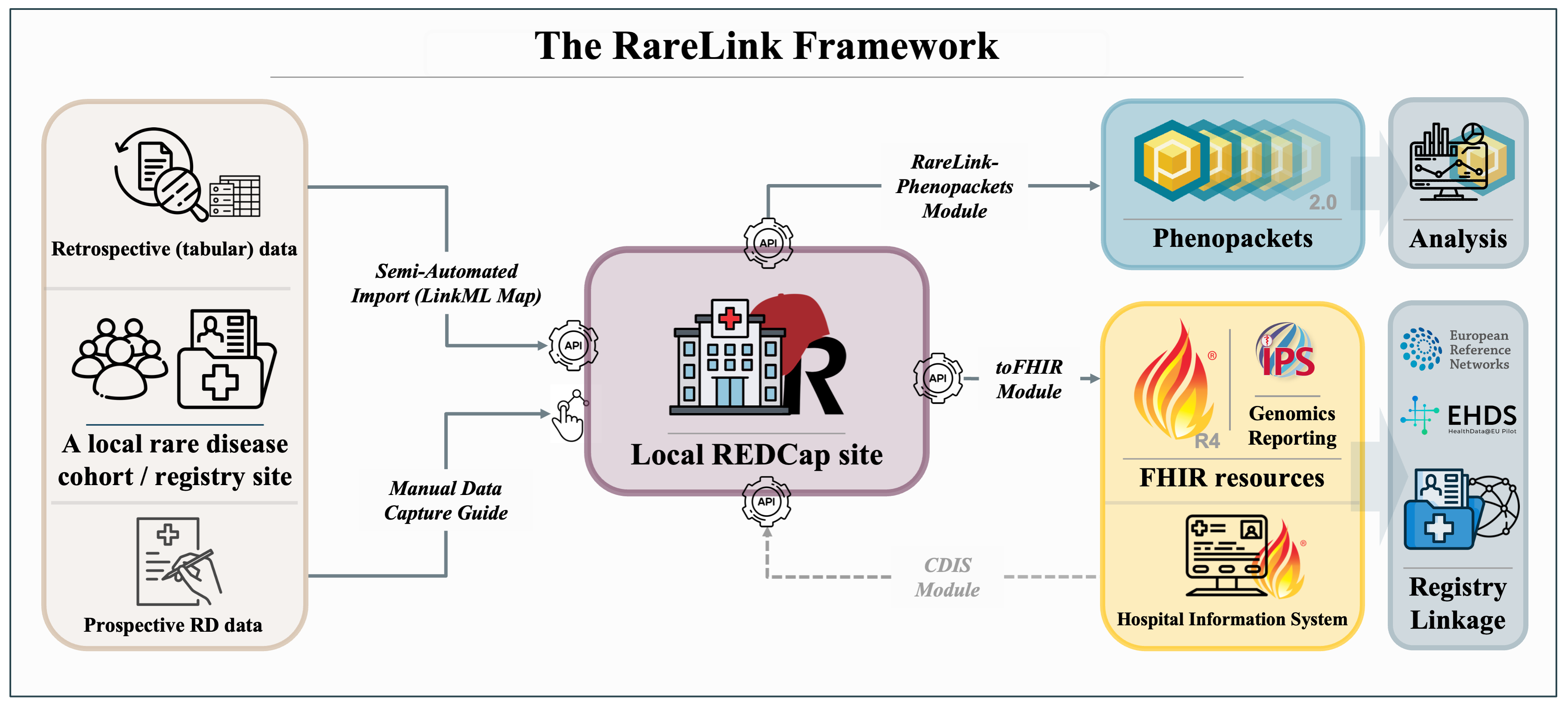 Figure 2: Schematic overview of the entire RareLink framework